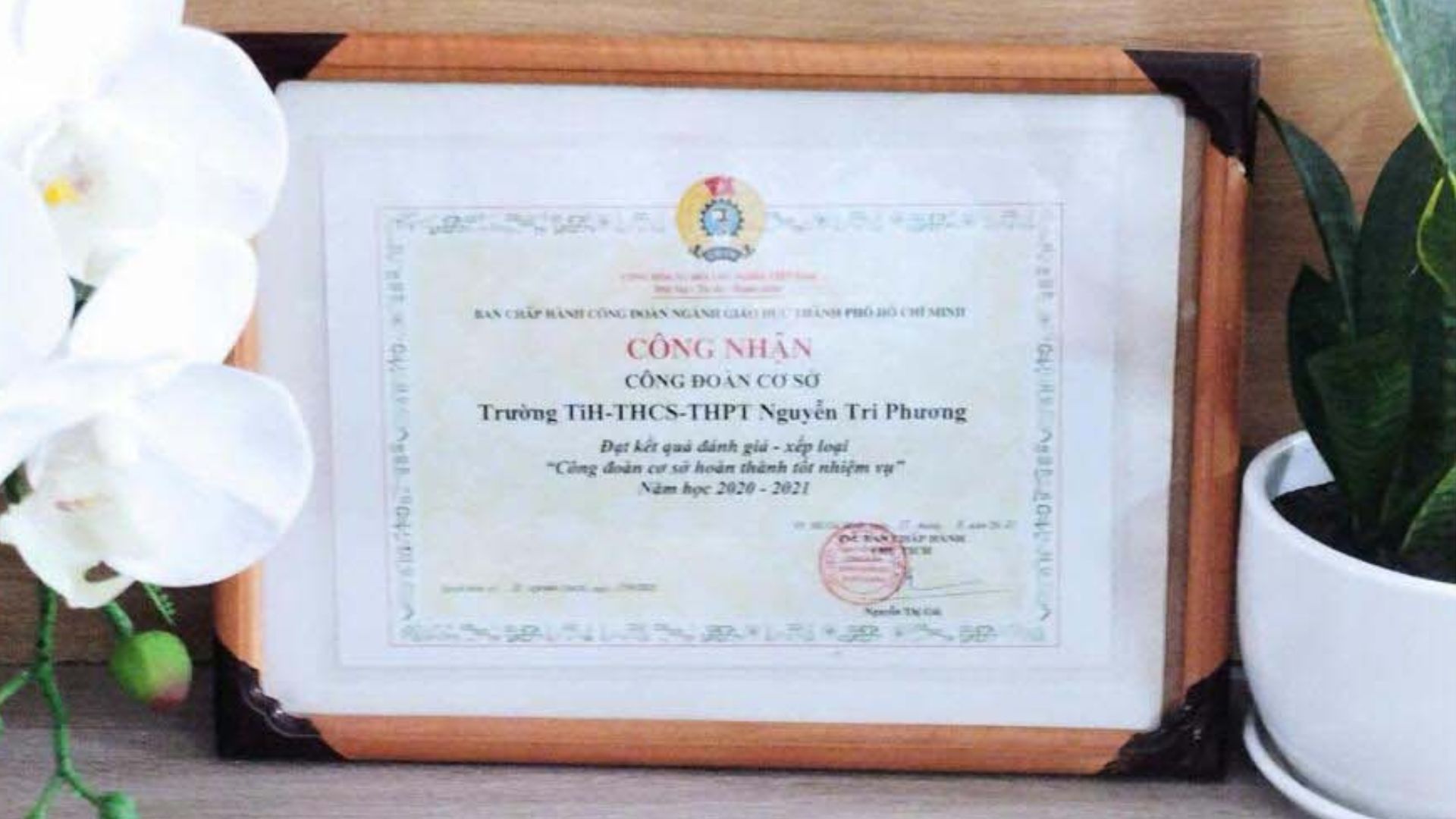 thanh tich cong doan 6