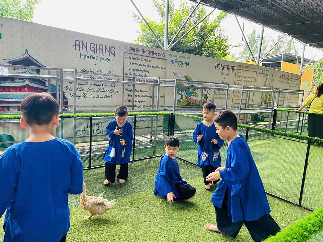 trai nghiem nong trai pro farm 10