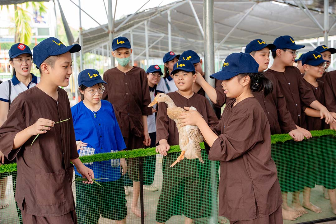 trai nghiem nong trai pro farm 2